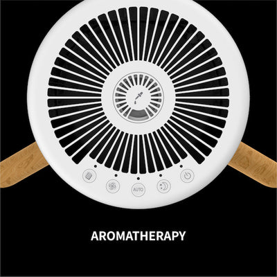 Air Cleaner – OGAWA Airify